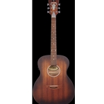D'Angelico Premier Tammany LS Aged