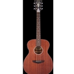 D'Angelico Premier Tammany LS - Natural