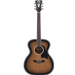 D'Angelico Premier Tammany