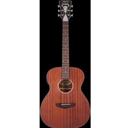 D'Angelico Premier Tammany LS - Natural